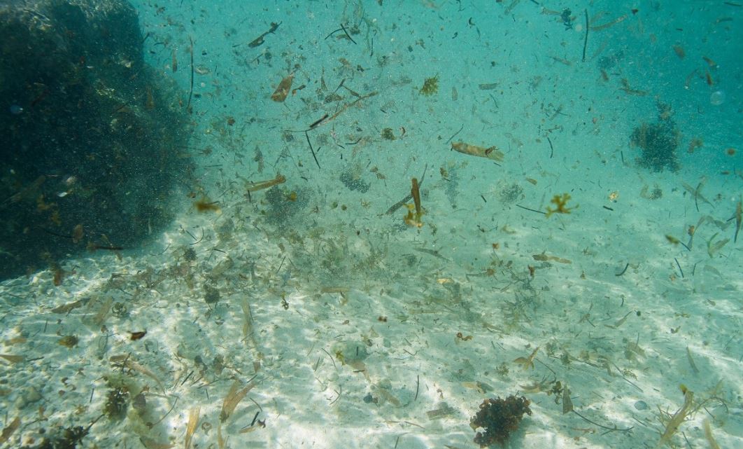 石油废水